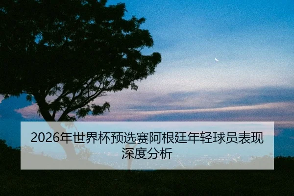 nian-shi-jie-bei-yu-xuan-sai-a-gen-ting-nian-qing-qiu-yuan-biao-xian-shen-du-fen-xi-2-688.jpg