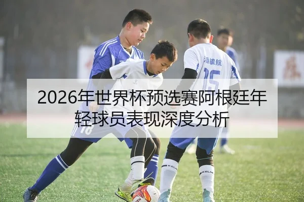 2026年世界杯预选赛阿根廷年轻球员表现深度分析