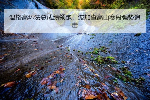 wen-ge-gao-huan-fa-zong-cheng-ji-ling-pao-bo-jia-cha-gao-shan-sai-duan-qiang-shi-zhui-ji-2-309.jpg