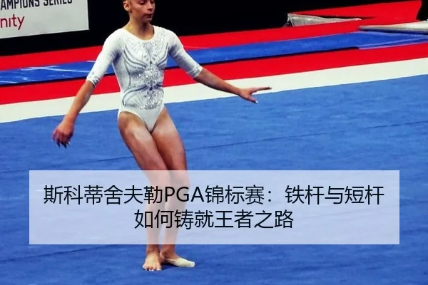 si-ke-di-she-fu-lei-jin-biao-sai-tie-gan-yu-duan-gan-ru-he-zhu-jiu-wang-zhe-zhi-lu-3-352.jpg